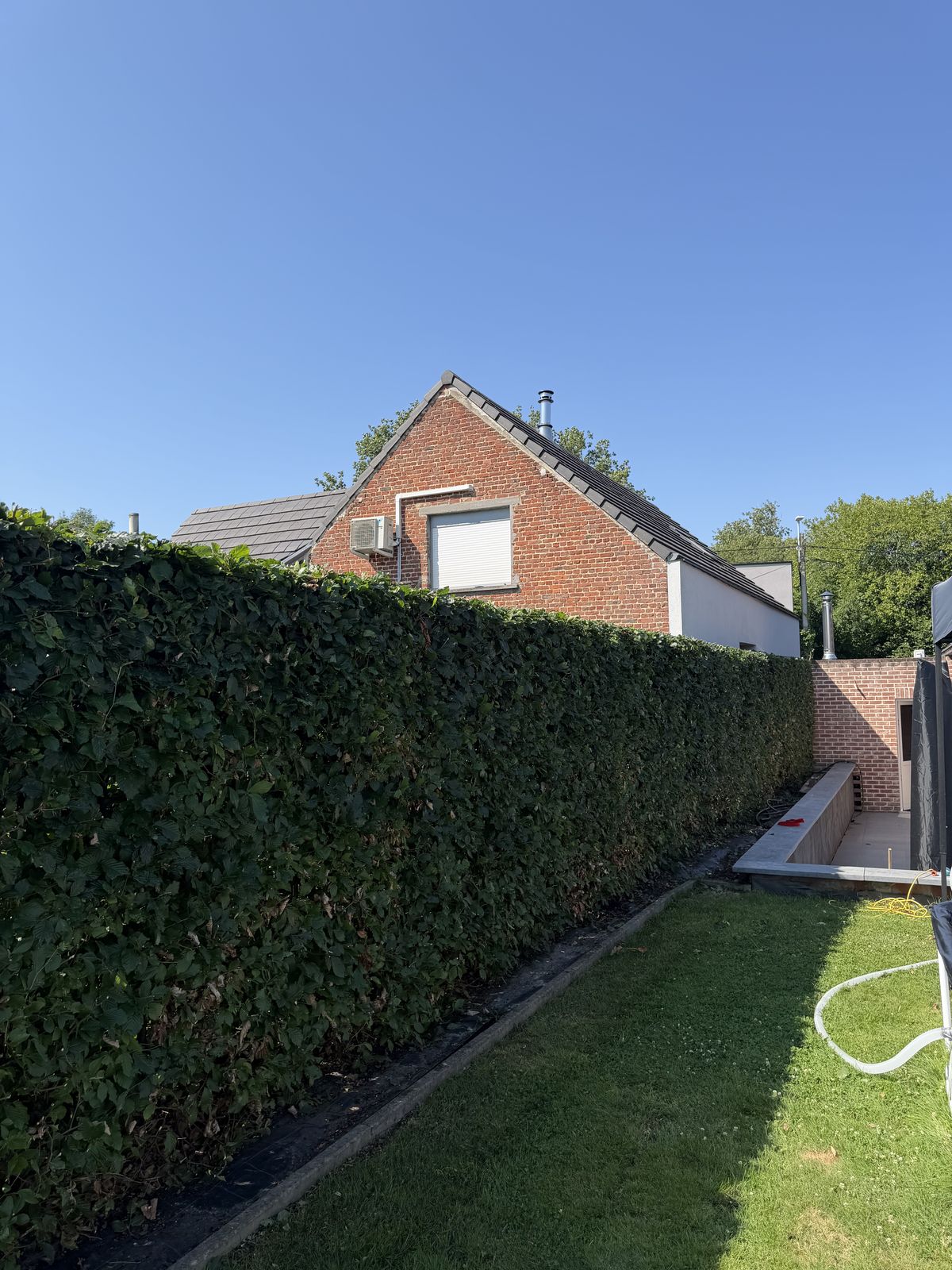 Lange haag strak afgewerkt op hoogte